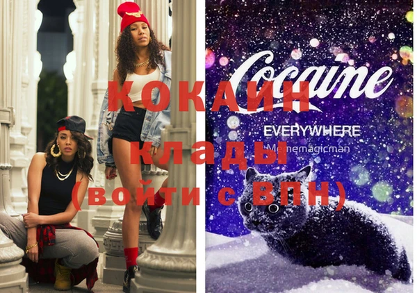 стаф Каменногорск