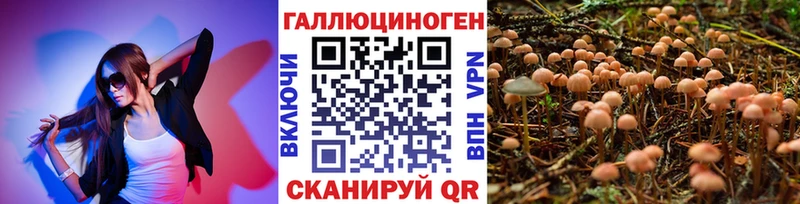 Псилоцибиновые грибы Psilocybine cubensis  Купить закладки  Тбилисская 